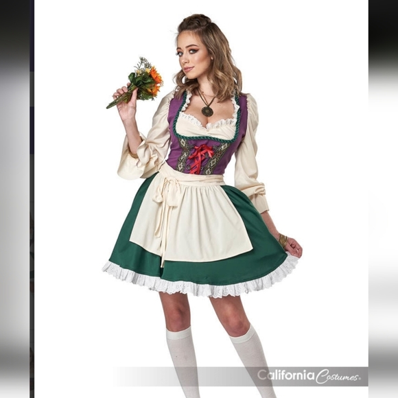 Beer Garden Girl Dress Ocktoberfest Dirndl California Costumes Large Wench Heidi - Picture 1 of 16